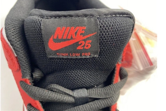 Low 25th 309242-307 years Dunk Nike SB 0316